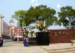 长郡雨花外国语学校初中部图片