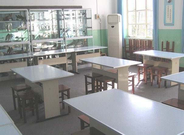 魏良庄完全小学图片