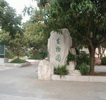 广州市花都区狮岭镇中学图片