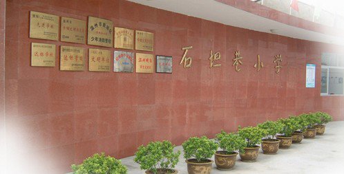 温州市石坦巷小学图片