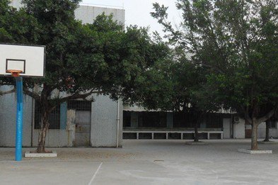 惠州市望江小学图片