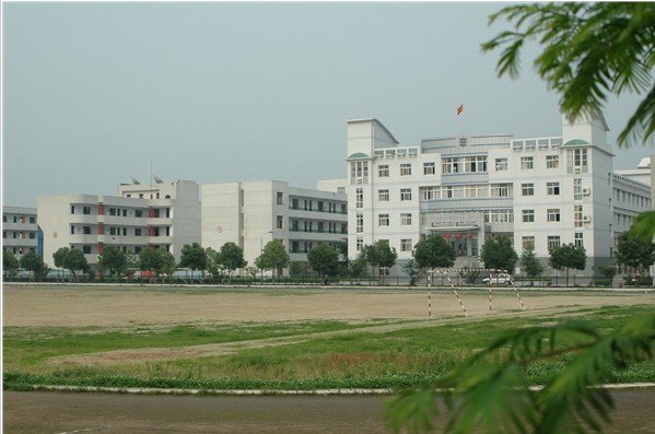武汉市新洲区四中|第四中学图片
