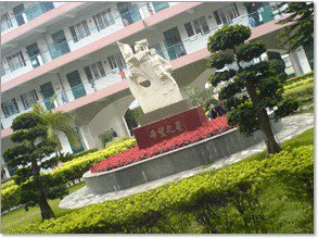 深圳市龙岗区横岗中心小学图片