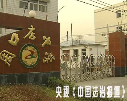 房山区周口店中学图片