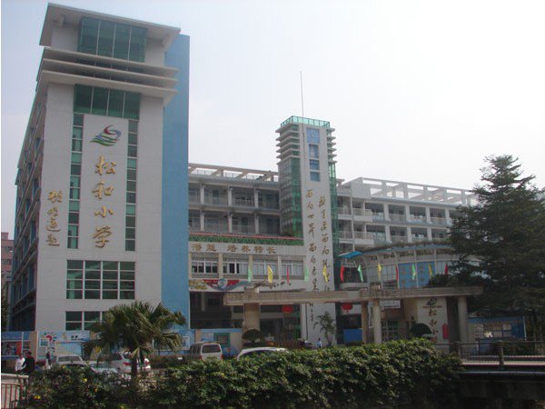深圳市松和小学图片