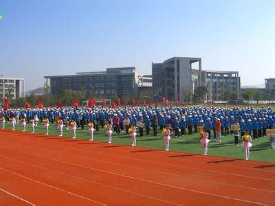 东北育才双语学校小学部图片