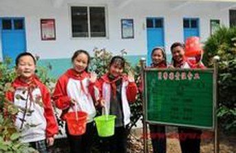 枣庄市薛城区邹坞镇洪村小学图片