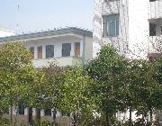 上海市松江区车墩学校图片