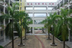 深圳市坪山新区碧岭小学（原沙坑小学）图片