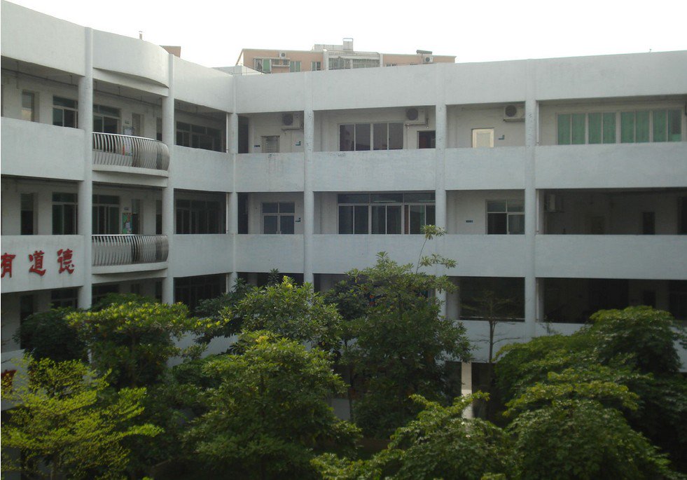 广州市番禺区钟村中心小学图片