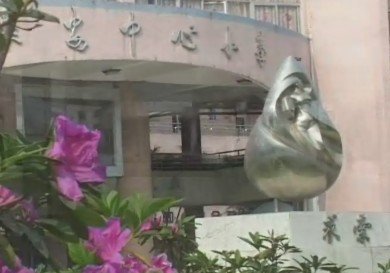 东莞市长安镇中心小学图片