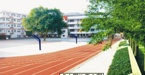 株洲市贺家土小学图片