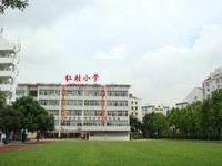 深圳市红桂小学图片