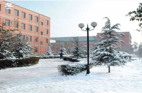 林州市一中|第一中学（林州一中）图片