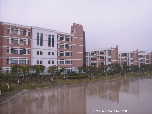 华东师范大学张江实验中学图片