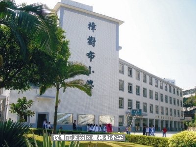 深圳市龙岗区樟树布小学图片