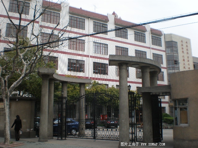 桐柏高级中学图片