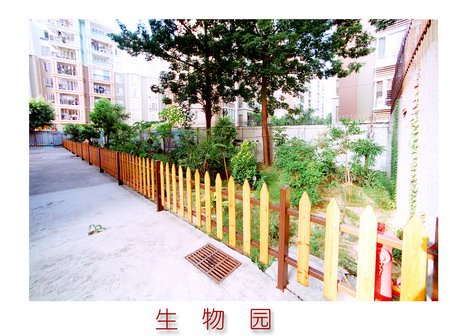 汕头市天竺中学图片