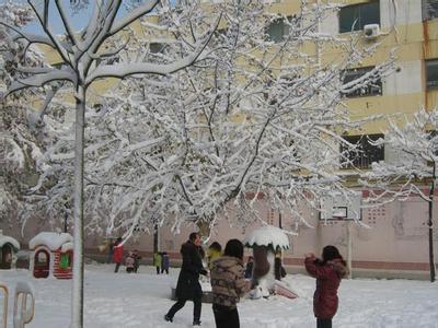 德州市光明街小学图片