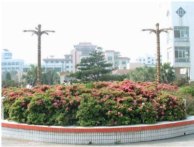 温州市瓯海区仙岩镇第一小学（仙岩一小）图片