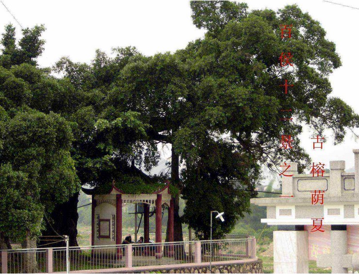 广州省大埔县百侯中学图片