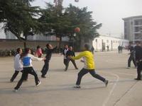 滕州市龙泉办滕东中学图片