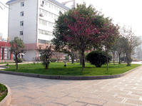 郑州回民中学（郑州六中）图片