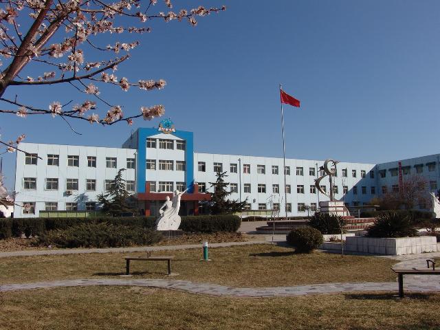 顺义区李桥中学图片