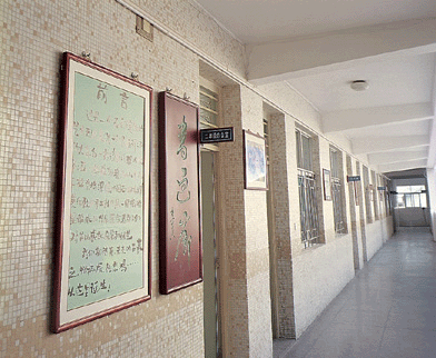 深圳市南山区西丽福华小学图片