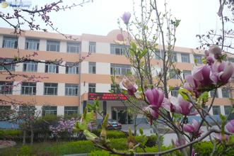 莱阳市盛隆小学图片