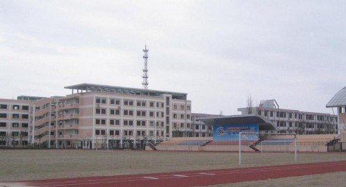 上海芦潮港秋萍学校图片