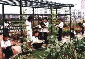 中山市三乡镇光后中心小学图片