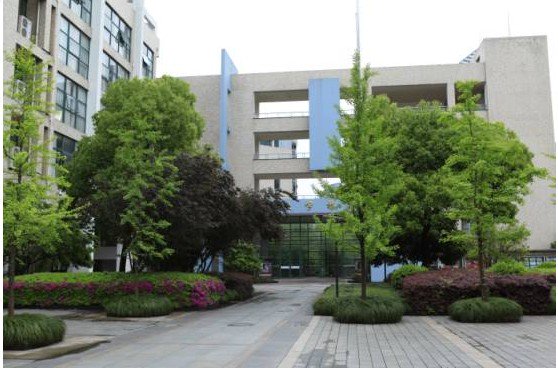 杭州市闻涛小学图片