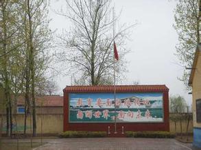 广饶县稻庄镇徐楼联小图片