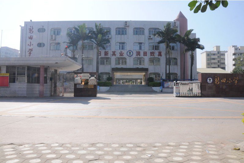 深圳龙华区教科院附属小学(新田小学)图片