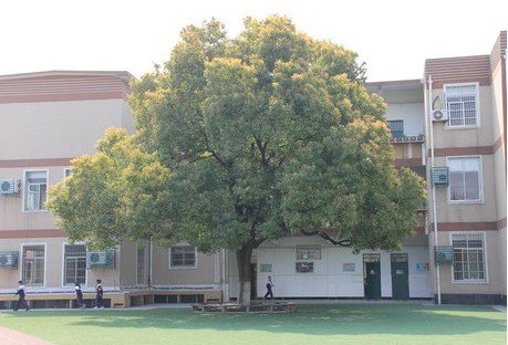 杭州市运河学校小学部图片