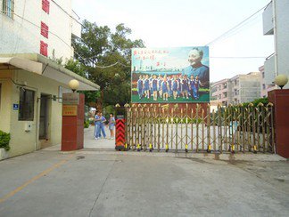 东莞市东坑丽晶小学图片