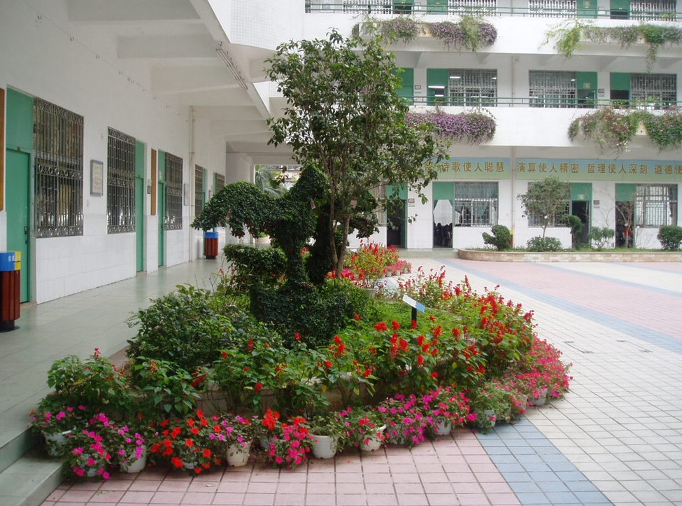 深圳市宝安区公明镇下村小学图片