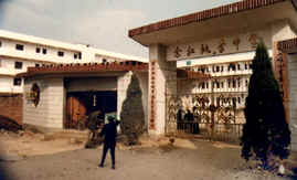余江桃李中学图片