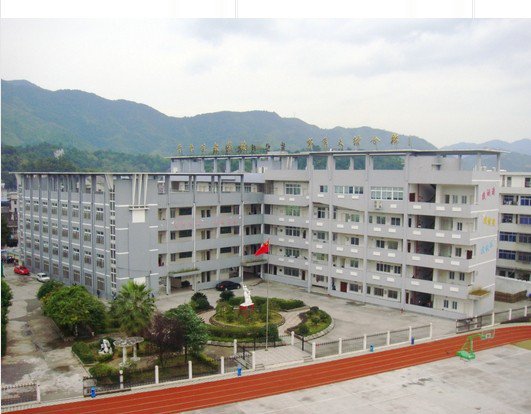 东莞市桥头镇第二小学图片