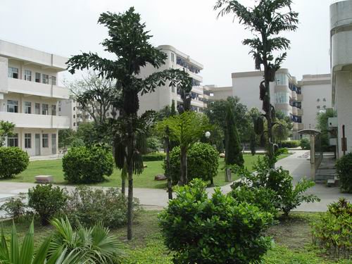 鹤山市纪元中学图片