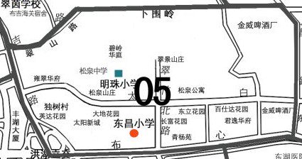 深圳市东昌小学图片