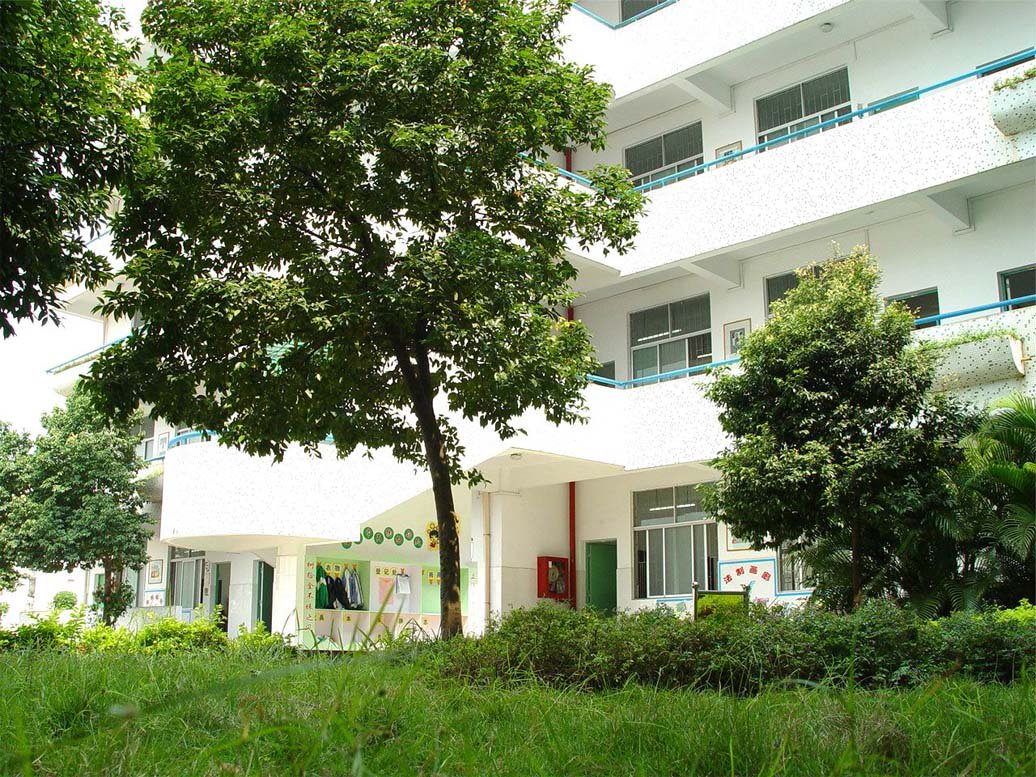 深圳市罗湖区罗芳小学图片