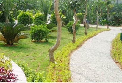 河源市紫金县紫金中学图片