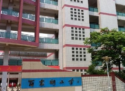南京市百家湖小学宏运校区图片
