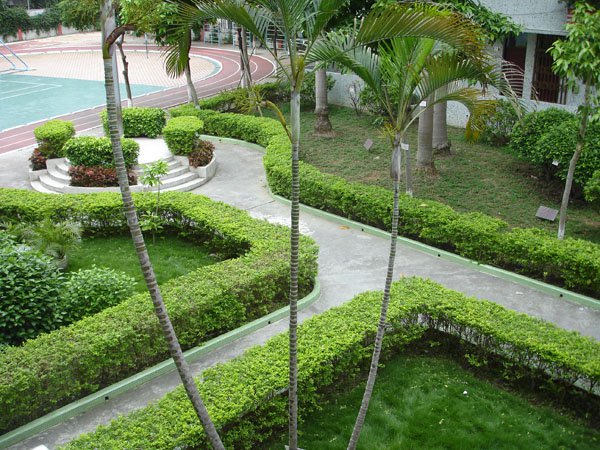 汕头市金珠小学图片