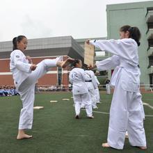 上海市新杨中学图片
