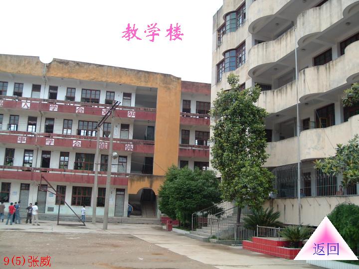 南平市九中|第九中学图片