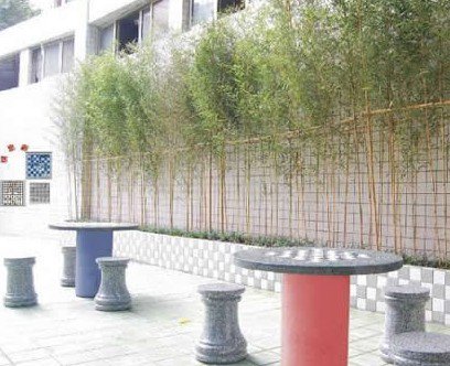 海珠中路小学图片