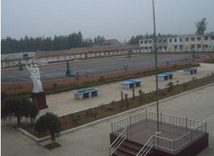 枣庄市吴林办肖桥小学图片